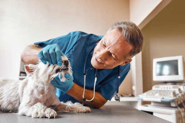 Tooth Infection Emergency Dentist in MI